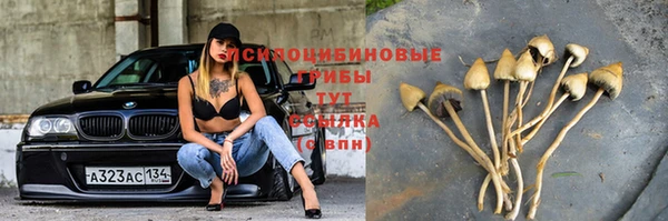 jwh Володарск