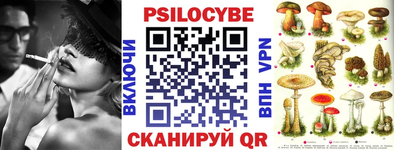 Купить закладки  Томмот  Псилоцибиновые грибы прущие грибы 